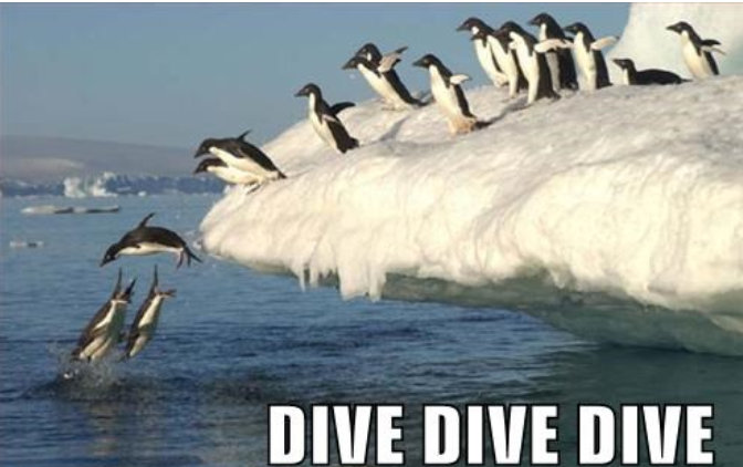 Dive! Dive! Dive!