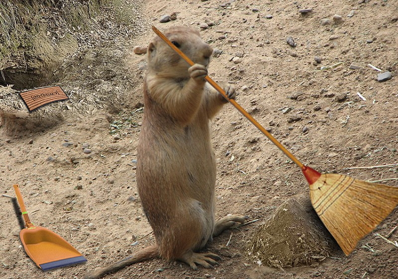 Housekeeping's here!